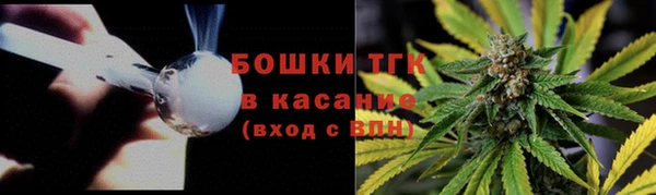 молекула духа Абинск