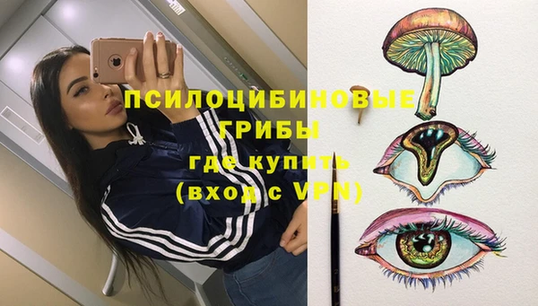 молекула духа Абинск
