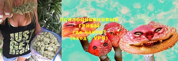 молекула духа Абинск