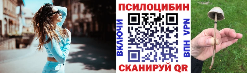 Псилоцибиновые грибы Magic Shrooms  где купить наркотик  blacksprut зеркало  Калач 